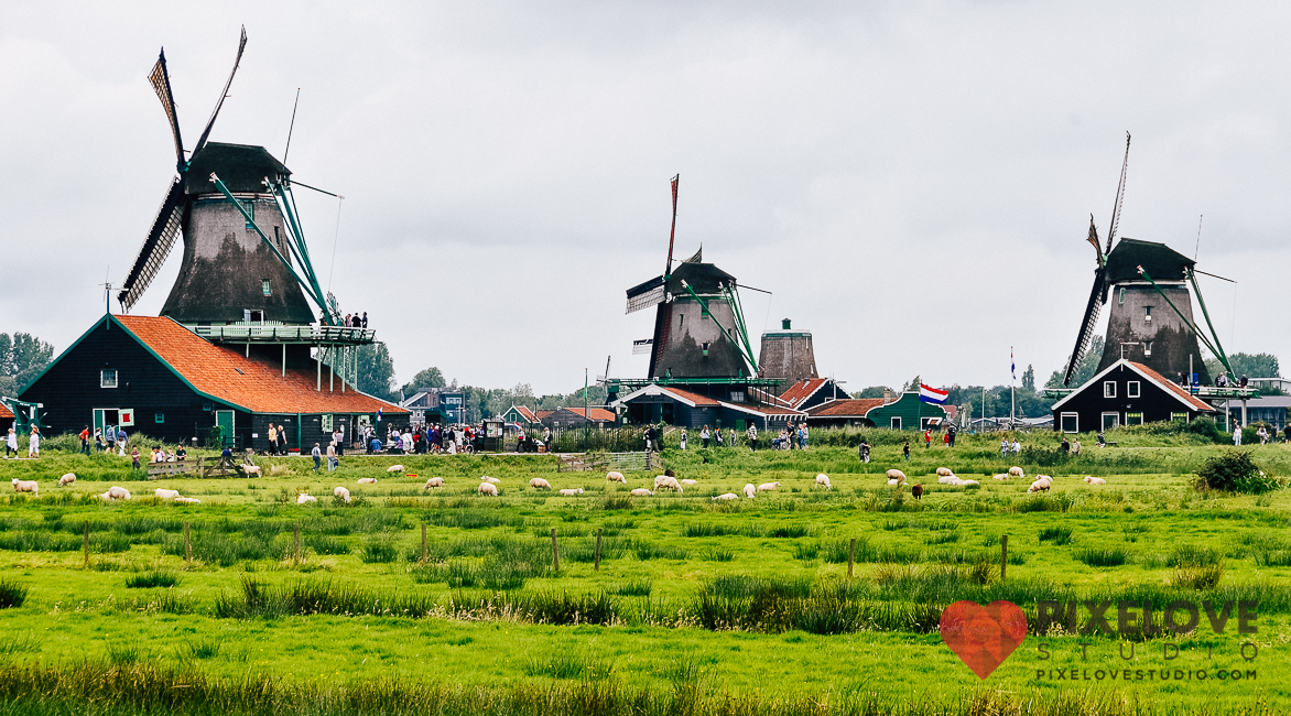 Travel photography, discovering the the Netherlands, Alkmaar city, Amsterdam. Fotografia de viajes a Holanda, Amsterdam y Alkmaar.