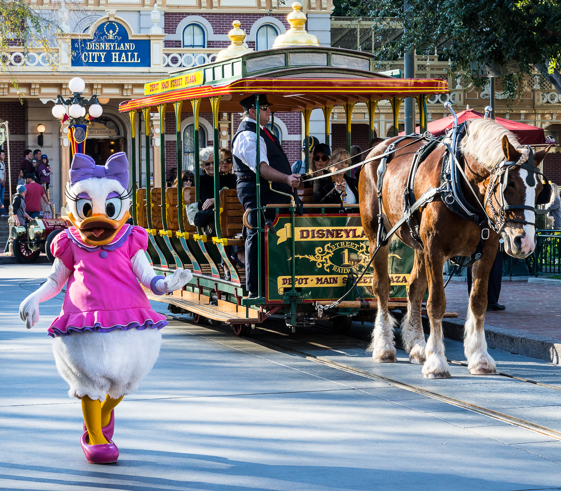 Visit Disneyland Park in Anaheim California.