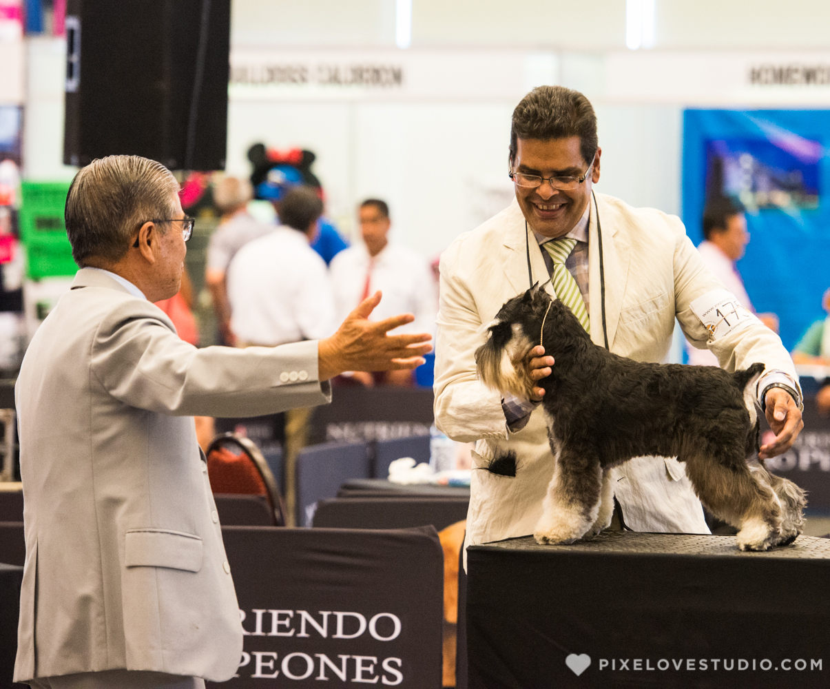 Expo Canina 2017 en el Centro de Congresos de Queretaro. Club Canofilo Corregidora en Queretaro.